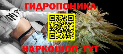 mdpv Уссурийск