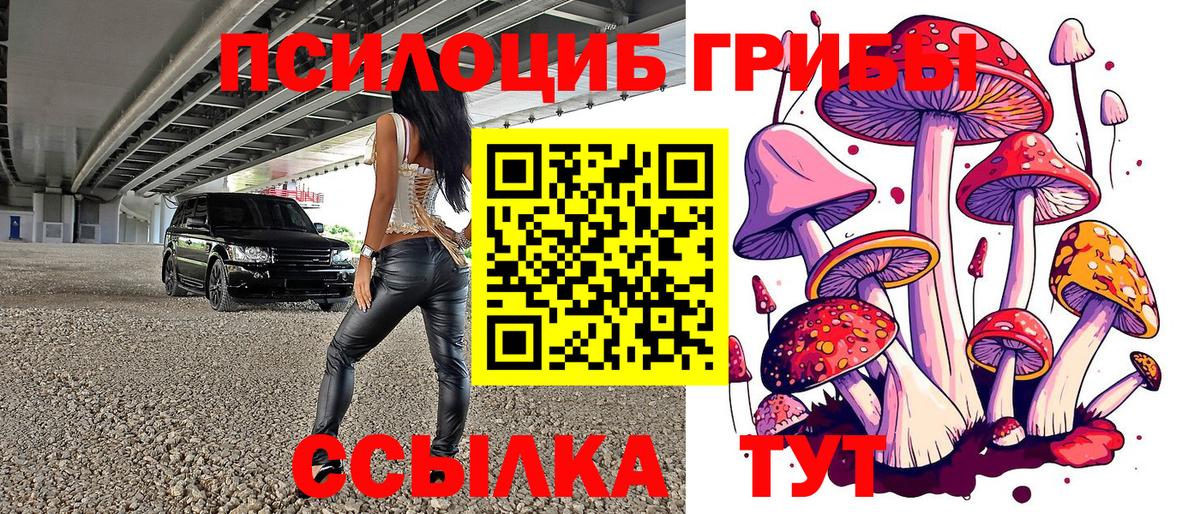 Псилоцибиновые грибы ЛСД Рыбинск