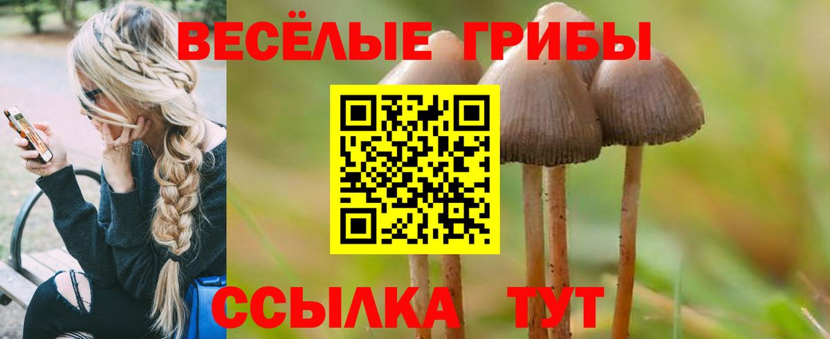 Рыбинск  Псилоцибиновые грибы MAGIC MUSHROOMS  Вход с VPN  Галлюциногенные грибы ЛСД 